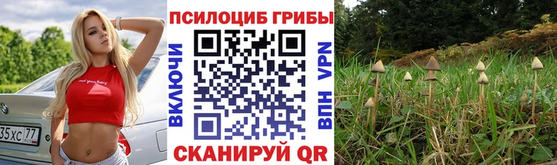 Галлюциногенные грибы мухоморы  Купить закладки  Волгореченск 