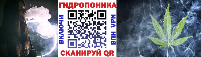 Каннабис White Widow  Купить  Волгореченск 